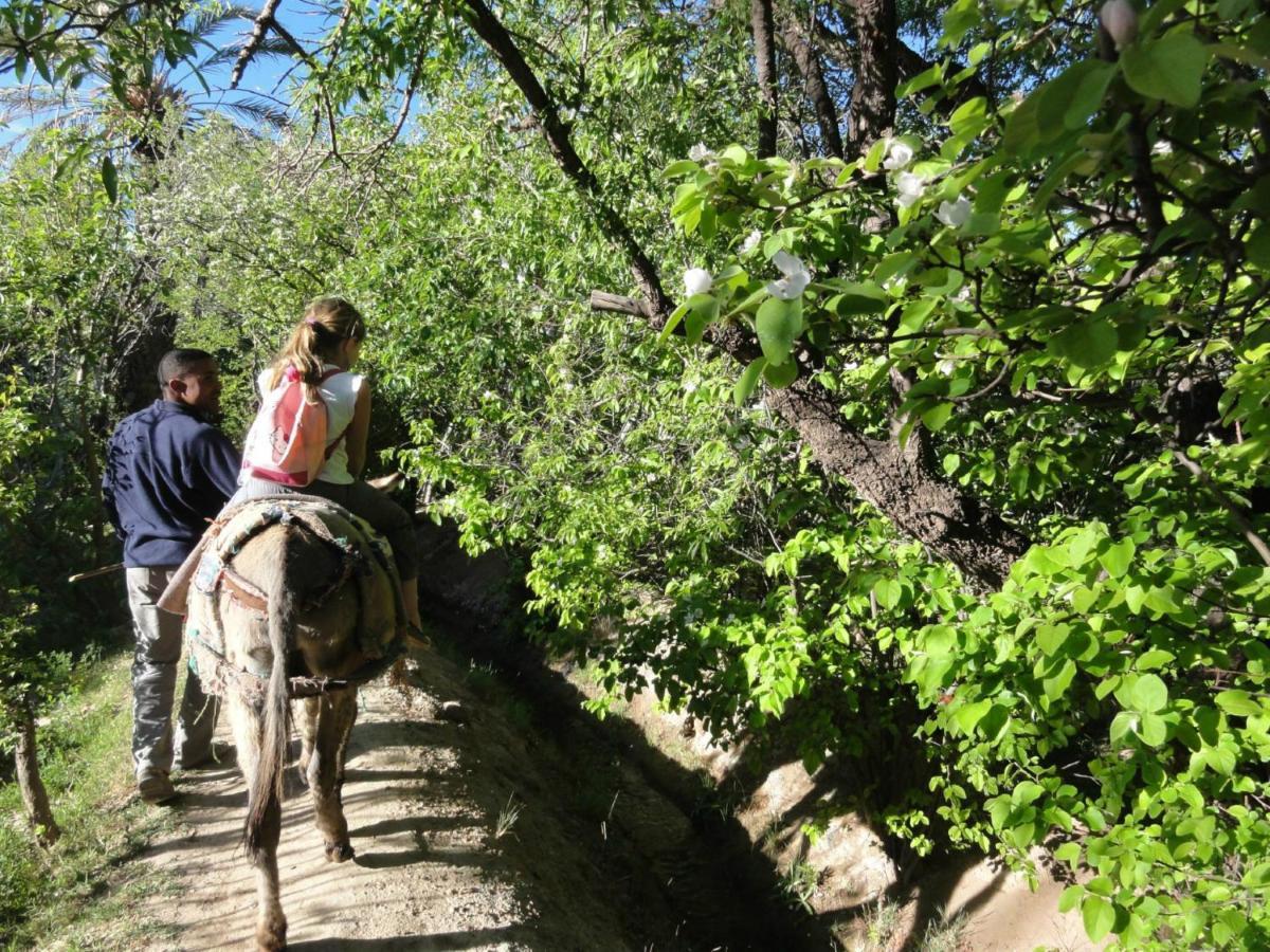 מלון Eco-Ferme Tamalait סקורה מראה חיצוני תמונה